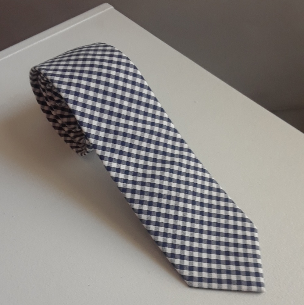 J Crew Factory Blue and White Gingham Cotton Tie
